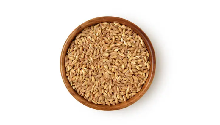 farro graan